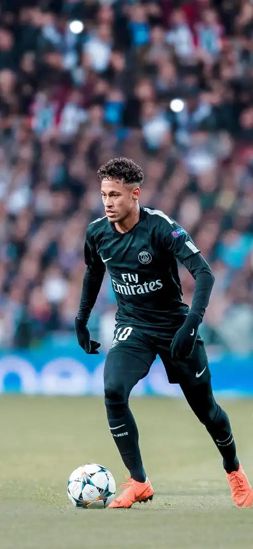 成功展示 成功展示